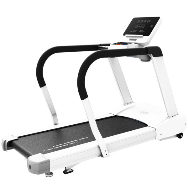 Dyaco 4.0T Treadmill